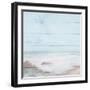 Atlantic Coast I-Michael Marcon-Framed Art Print