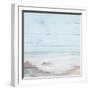 Atlantic Coast I-Michael Marcon-Framed Art Print