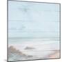 Atlantic Coast I-Michael Marcon-Mounted Art Print