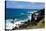 Atlantic Coast, St. Kitts, St. Kitts and Nevis-Robert Harding-Stretched Canvas