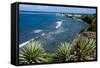 Atlantic Coast, St. Kitts, St. Kitts and Nevis-Robert Harding-Framed Stretched Canvas