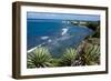 Atlantic Coast, St. Kitts, St. Kitts and Nevis-Robert Harding-Framed Photographic Print