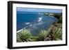 Atlantic Coast, St. Kitts, St. Kitts and Nevis-Robert Harding-Framed Photographic Print