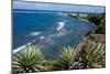 Atlantic Coast, St. Kitts, St. Kitts and Nevis-Robert Harding-Mounted Photographic Print