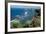 Atlantic Coast, St. Kitts, St. Kitts and Nevis-Robert Harding-Framed Photographic Print