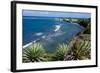 Atlantic Coast, St. Kitts, St. Kitts and Nevis-Robert Harding-Framed Photographic Print