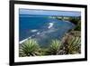 Atlantic Coast, St. Kitts, St. Kitts and Nevis-Robert Harding-Framed Photographic Print