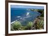 Atlantic Coast, St. Kitts, St. Kitts and Nevis-Robert Harding-Framed Photographic Print