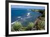 Atlantic Coast, St. Kitts, St. Kitts and Nevis-Robert Harding-Framed Photographic Print