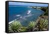 Atlantic Coast, St. Kitts, St. Kitts and Nevis-Robert Harding-Framed Stretched Canvas