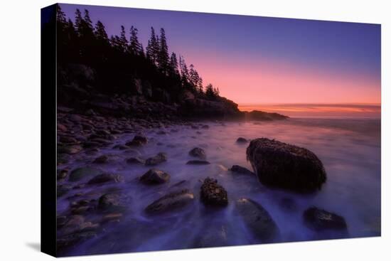 Atlantic Coast Sunrise, Maine, Acadia National Park-Vincent James-Stretched Canvas