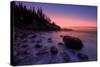 Atlantic Coast Sunrise, Maine, Acadia National Park-Vincent James-Stretched Canvas