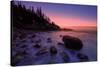 Atlantic Coast Sunrise, Maine, Acadia National Park-Vincent James-Stretched Canvas