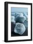 Atlantic Coast with Iceberg Remains at the Jškulsarlon-Catharina Lux-Framed Photographic Print