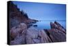 Atlantic Coastline, Acadia National Park, Maine-Paul Souders-Stretched Canvas