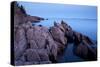 Atlantic Coastline, Acadia National Park, Maine-Paul Souders-Stretched Canvas