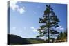 Atlantic Coastline, Acadia National Park, Maine-Paul Souders-Stretched Canvas