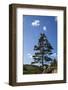 Atlantic Coastline, Acadia National Park, Maine-Paul Souders-Framed Photographic Print