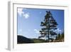 Atlantic Coastline, Acadia National Park, Maine-Paul Souders-Framed Photographic Print