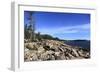 Atlantic Coastline, Acadia National Park, Mount Desert Island, Maine, New England, Usa-Wendy Connett-Framed Photographic Print