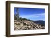 Atlantic Coastline, Acadia National Park, Mount Desert Island, Maine, New England, Usa-Wendy Connett-Framed Photographic Print