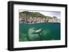 Atlantic Grey Seal (Halichoerus Grypus) Swimming Beneath the Surface, Lundy Island, Devon, England-Alex Mustard-Framed Premium Photographic Print