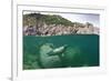 Atlantic Grey Seal (Halichoerus Grypus) Swimming Beneath the Surface, Lundy Island, Devon, England-Alex Mustard-Framed Photographic Print