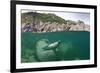 Atlantic Grey Seal (Halichoerus Grypus) Swimming Beneath the Surface, Lundy Island, Devon, England-Alex Mustard-Framed Photographic Print