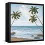 Atlantic II-Michael Marcon-Framed Stretched Canvas