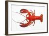 Atlantic Lobster-David Nunuk-Framed Premium Photographic Print