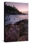 Atlantic Morning Cove, Maine-Vincent James-Stretched Canvas