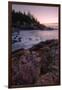 Atlantic Morning Cove, Maine-Vincent James-Framed Photographic Print