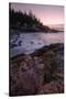 Atlantic Morning Cove, Maine-Vincent James-Stretched Canvas