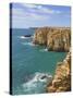 Atlantic Ocean and Cliffs on the Cape St. Vincent Peninsula, Sagres, Algarve, Portugal, Europe-Neale Clarke-Stretched Canvas