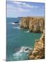 Atlantic Ocean and Cliffs on the Cape St. Vincent Peninsula, Sagres, Algarve, Portugal, Europe-Neale Clarke-Mounted Photographic Print