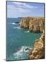 Atlantic Ocean and Cliffs on the Cape St. Vincent Peninsula, Sagres, Algarve, Portugal, Europe-Neale Clarke-Mounted Photographic Print