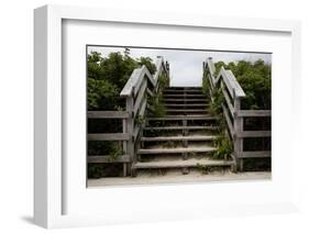 Atlantic Ocean, Cape Cod, Massachusetts-Paul Souders-Framed Photographic Print