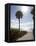 Atlantic Ocean, Miami Beach, Florida, USA-Angelo Cavalli-Framed Stretched Canvas
