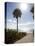Atlantic Ocean, Miami Beach, Florida, USA-Angelo Cavalli-Stretched Canvas