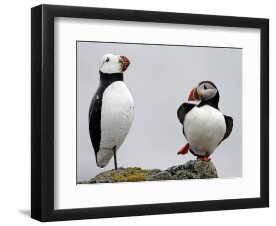 Premium Photographic Print, , large