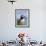 Atlantic Puffin, Latrabjarg, Vestfirdhir, Iceland-Keren Su-Framed Premium Photographic Print displayed on a wall