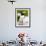 Atlantic Puffin on Machias Seal Island Near Cutler, Maine, Usa-Chuck Haney-Framed Photographic Print displayed on a wall