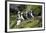 Atlantic Puffin, Sassenfjorden, Spitsbergen, Svalbard, Norway-Steve Kazlowski-Framed Photographic Print