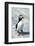 Atlantic Puffin with Nesting Material, Machias Seal Island, Canada-Richard and Susan Day-Framed Photographic Print