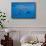 Atlantic Sailfish (Istiophorus Albicans) Hunting Sardines, Isla Mujeres, Yucatan Peninsula, Caribbe-Reinhard Dirscherl-Framed Stretched Canvas displayed on a wall