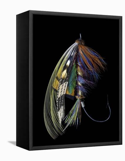 Atlantic Salmon Fly designs 'Blacker Ghost' variation-Darrell Gulin-Framed Stretched Canvas