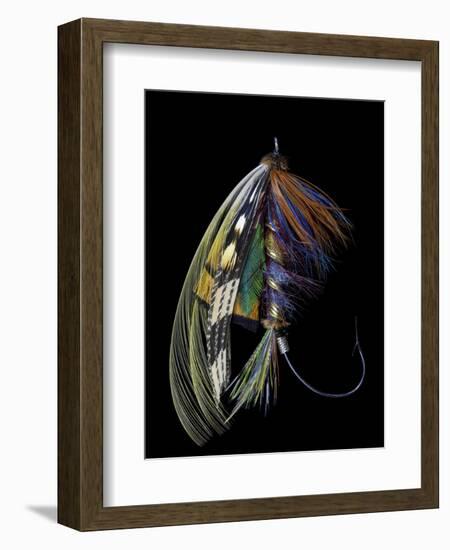 Atlantic Salmon Fly designs 'Blacker Ghost' variation-Darrell Gulin-Framed Photographic Print