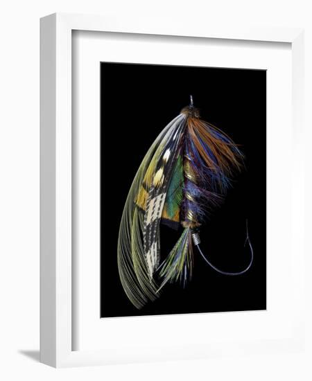 Atlantic Salmon Fly designs 'Blacker Ghost' variation-Darrell Gulin-Framed Photographic Print