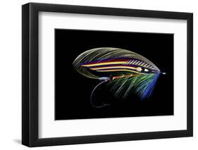 Atlantic Salmon Fly designs 'Clabby'-Darrell Gulin-Framed Photographic Print