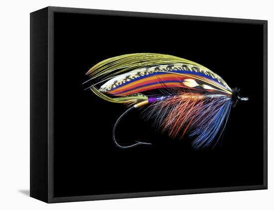 Atlantic Salmon Fly designs 'Graham's Fancy'-Darrell Gulin-Framed Stretched Canvas